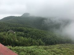 景点-蔡伦竹海