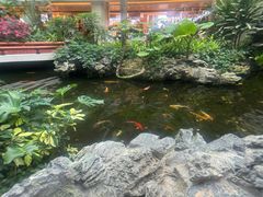 -广州白天鹅宾馆