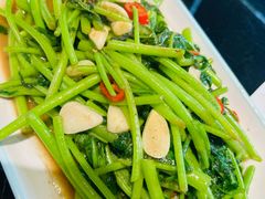-玉兰苑一等茶餐厅