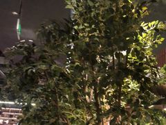 -同仁四季椰子鸡(海岸城天利店)