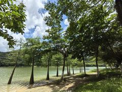 -凤岗南门山森林公园