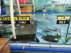 -农厨好味·温泉鹅·农家菜