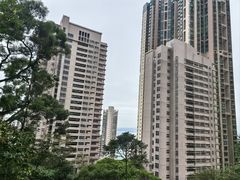 -香港大学