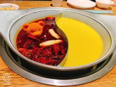 -青瓷火锅料理(西单大悦城店)