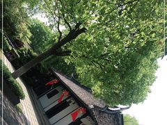 -金山农民画村-枫泾波兰倒置屋