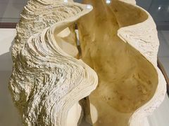 -青岛贝壳博物馆