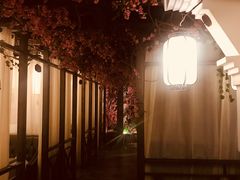 景观位-花千醉(新街口店)