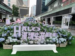 -HALO广场(梨园路店)
