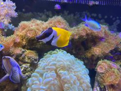 -Zoolung Zoolung动物主题公园(海信广场店)