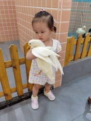-Moni星球萌宠·小马宝莉·灵蛇·高端高阶全萌宠互动体验俱乐部(红豆国际广场店)