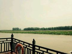 -微山湖红荷湿地景区