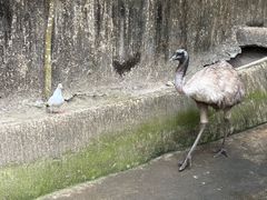 -海南槟榔谷黎苗文化旅游区