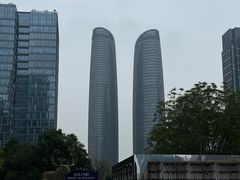 -合景·悠方(成都店)