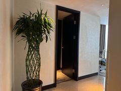 -国家会议中心大酒店-地上停车场