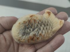-粉粉乐鲷鱼烧(美罗城店)