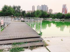 -绿岛公园(滨海新区)