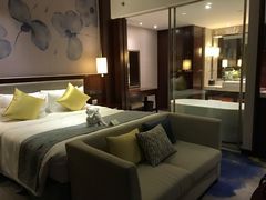 -常州环球恐龙城维景国际大酒店