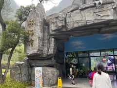 -柳州市动物园
