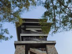 -大湾区中央湿地公园