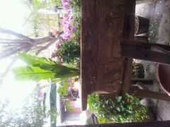 -老木头音乐空间(月河街店)