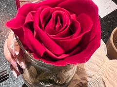 -华豫川酒家(大卫城店)