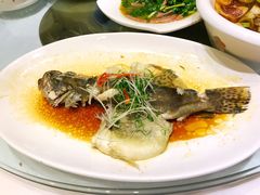 -宝宇大连海鲜渔港(金奎大厦店)