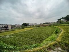 -芭夯兔·无骨兔汤锅(华阳店)