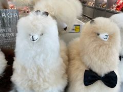 -银川河东国际机场