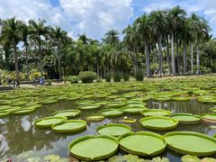 -中国科学院西双版纳热带植物园