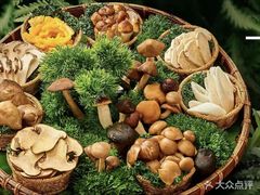 -菌之家·专业纯野生菌火锅·特色炒菌
