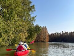 -上海海湾国家森林公园