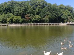 -广州市帽峰山景区