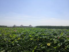 -敕勒川草原文化旅游区