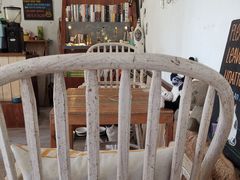 -海边的猫和咖啡馆