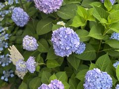 -荒度咖啡(北九水店)