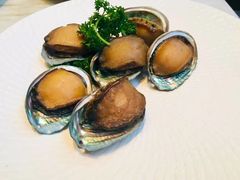 -新发展亚太JW万豪酒店·福苑咖啡厅