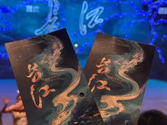 -重庆国际马戏城