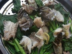 -海大大蒸汽海鲜餐厅·粤菜·特色小炒(欢乐颂店)