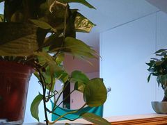 -咖啡人·融合餐厅(万达环宇店)