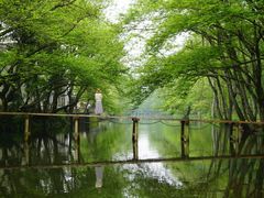 -西溪南古村落景区