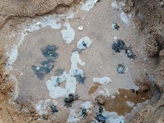 -金梦海湾浴场