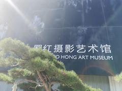 -罗红摄影艺术馆