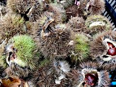 -宁波五龙潭景区