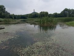 -北坞公园