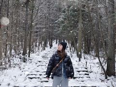 -武陵山森林公园