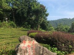 -敬亭山风景名胜区