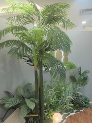 -八佰伴8008星级形象店