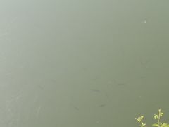 -重庆彩云湖湿地公园