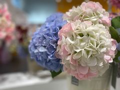 -KKV(深圳宏发大仟里店)