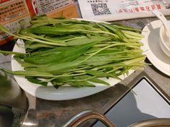 -张凯达·深海石斑鱼潮汕火锅(十五年品牌•虹桥天街店)